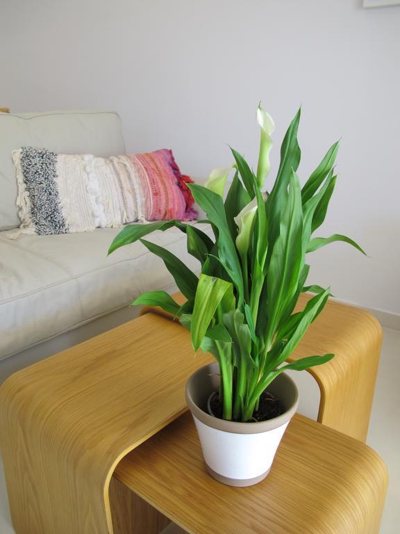 Seafront Calista Beach House With Garden Glifada Esterno foto
